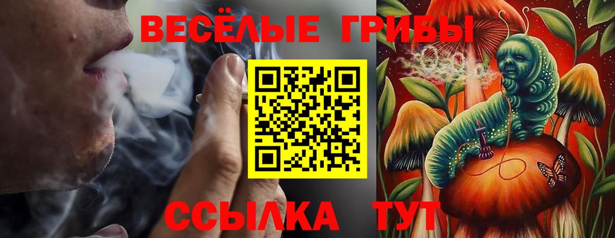 Малоярославец  даркнет сайт  Вход с VPN  Галлюциногенные грибы Magic Shrooms 