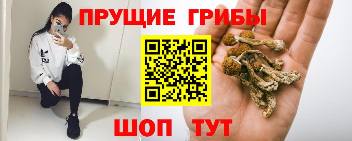 Псилоцибиновые грибы MAGIC MUSHROOMS Малоярославец