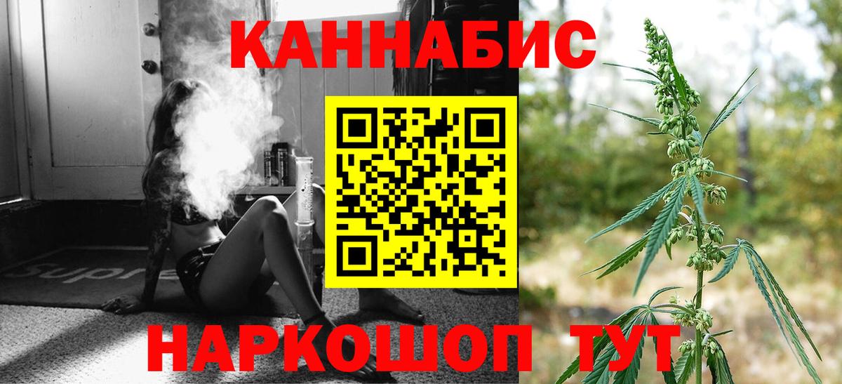 Бошки Шишки план Малоярославец